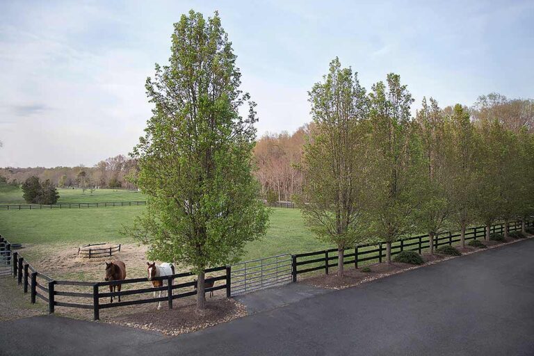 Elopement Packages in Virginia Stafford Stables Rustic, Intimate